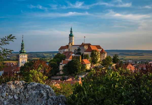 남부모라비아 와이너리 투어