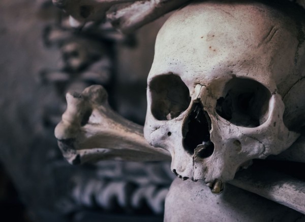 [NEW] 꾸트나호라 기차여행